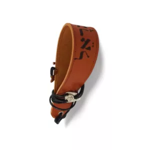 bandolera de guitarra